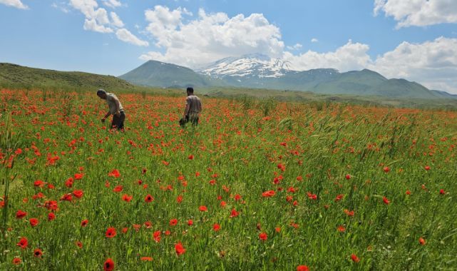 Baharın en etkileyici kareleri