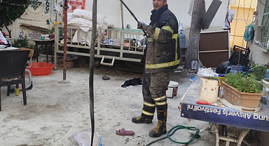 Bahçeye giren yılan paniğe neden oldu  