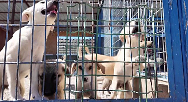 Bakan Çiftçi'nin Erzurum modeli örnek gösteriliyor