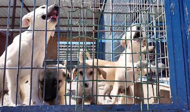 Bakan Çiftçi'nin Erzurum modeli örnek gösteriliyor