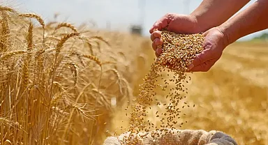 Bakan Yumaklı açıkladı! TMO hububat alımlarında ödemelere başladı