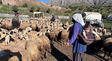 Bakanlıktan hayvancılık destek projesi uyarısı