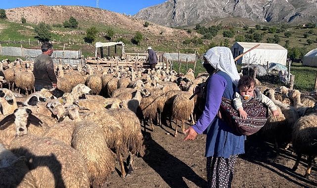 Bakanlıktan hayvancılık destek projesi uyarısı