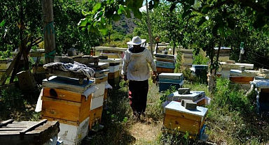 Bal arılarının yayla yolculuğu başladı