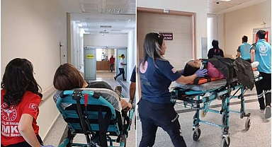 Bir anda ortaya çıktı kazaya neden oldu