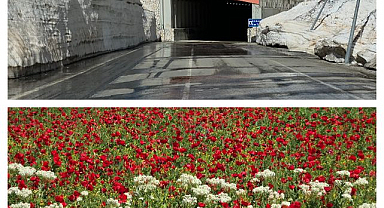 Bir yanda çiçekler, diğer yanda metrelerce kar   