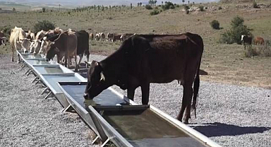 Büyükşehir’den hayvancılığın geliştirilmesine katkı