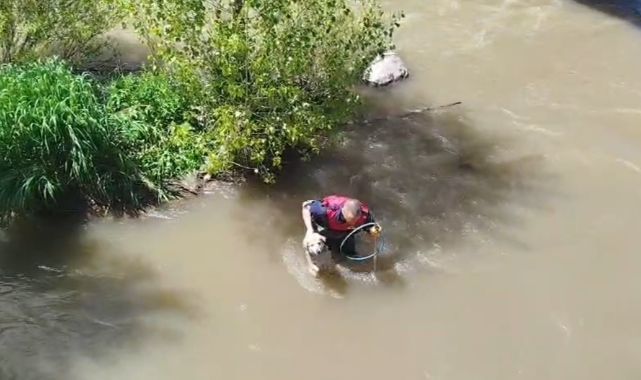 Can pazarı: 30 dakikalık operasyonla kurtarıldı