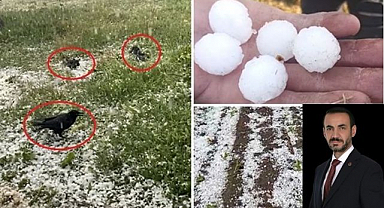Çiftçinin kaybı Erzurum'un kaybıdır
