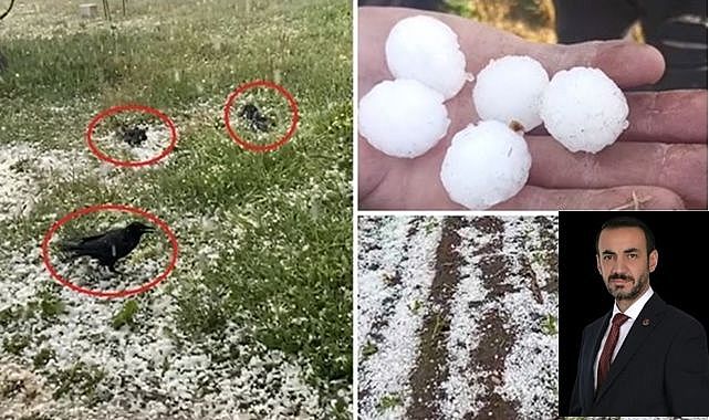 Çiftçinin kaybı Erzurum'un kaybıdır