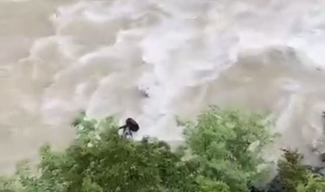 Çoruh Nehri'ne uçtular! Baba ile oğlu aranıyor   
