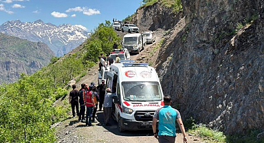 Dağda ot toplayan yaşlı kadını yılan ısırdı!