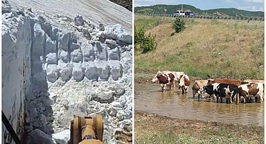 Dikkat çeken görüntü: Bir yanda kar, bir yanda güneş 