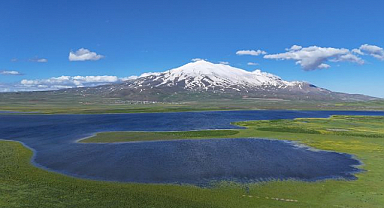 Doğa ve yaban hayatı bir arada