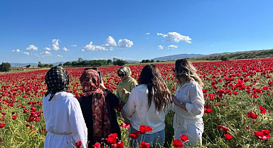 Doğal gelincik güzelliği büyüledi