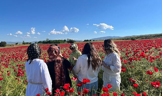 Doğal gelincik güzelliği büyüledi