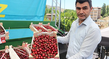 En güzel kiraz için yarıştılar