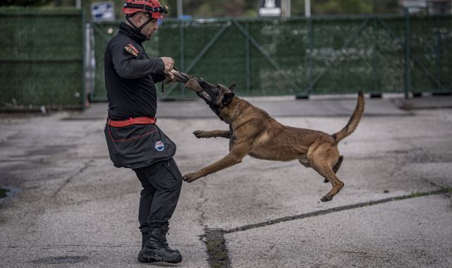 Enkazlarda büyütülen 