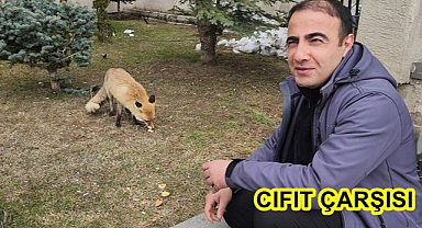 Et vardı da vermedik mi?