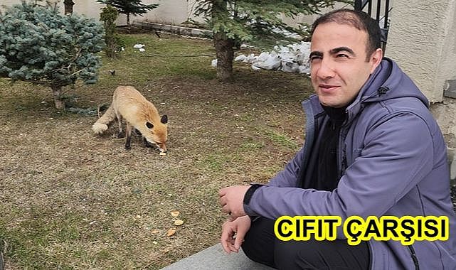 Et vardı da vermedik mi?