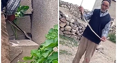 Eve girmeye çalışan yılanı çıplak elle yakaladı   