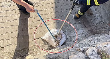 Evin bahçesinden çıkanlar görenleri hayrete düşürdü!