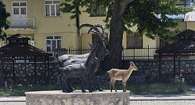 Gerçeği ve heykeli aynı karede! Görenler gözlerine inanamadı