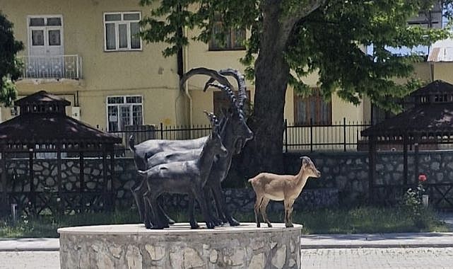 Gerçeği ve heykeli aynı karede! Görenler gözlerine inanamadı