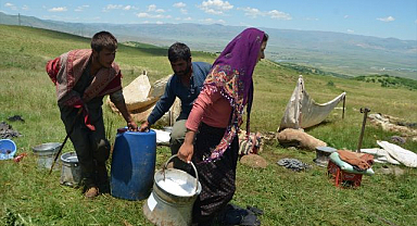 Göçerlerin yaylada süt mesaisi başladı