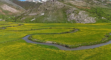 Güzeldere vadisi baharla canlandı