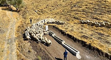 Horasan ve Pasinler'de hayvan içme suyu hattı yaptırılacak