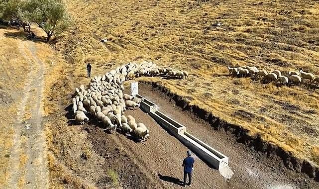 Horasan ve Pasinler'de hayvan içme suyu hattı yapt