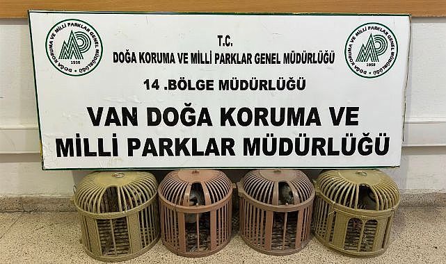 Kaçak avcılığa ağır yaptırım