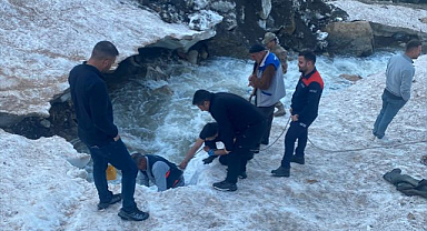 Kar kütlesinin altında kalan ineği ekipler kurtardı