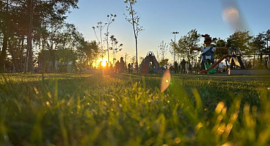 Kırsal alanlarda kene riski uyarısı