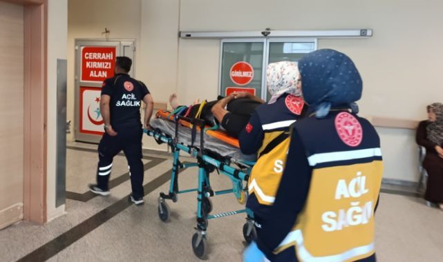 Kontrolden çıkan kamyon devrildi