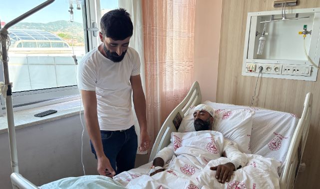 Mantar toplamak hayatına mal olacaktı! Ayı saldırısından ucuz kurtuldu