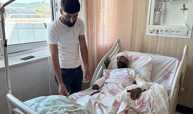 Mantar toplamak hayatına mal olacaktı! Ayı saldırı