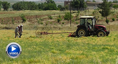 Mercimek rekoltesi çiftçinin yüzünü güldürdü 