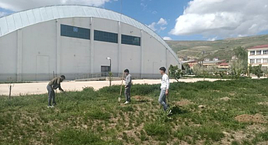 Öğrenciler doğa için sahaya indi