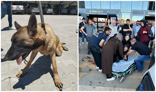 Otobüs terminalinde korku dolu anlar! Canını zor kurtardı
