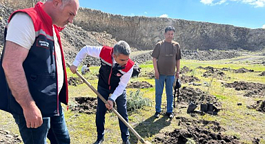 Palandöken'e 10 bin yeşil kalkan!