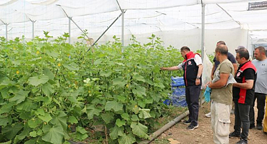 Seracılık yatırımları üretimi artırıyor     