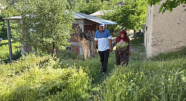 Sultan ninenin kaçan kurbanlık koçu aranıyor
