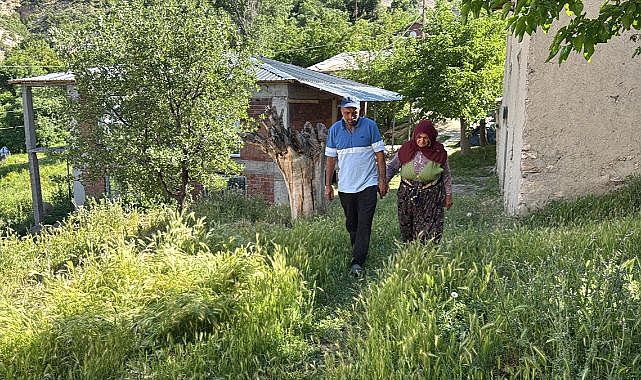 Sultan ninenin kaçan kurbanlık koçu aranıyor