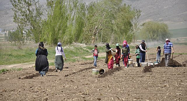 Tarımın görünmeyen kahramanları! Mevsimlik işçiler   