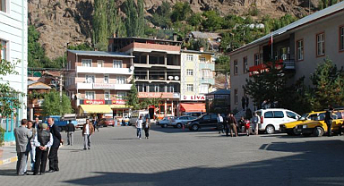 Tortum’da 4 taşınmaz icradan satışa çıkarıldı