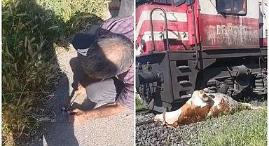 Tren ineğe çarptı, vatandaşlar saniyelerle yarıştı