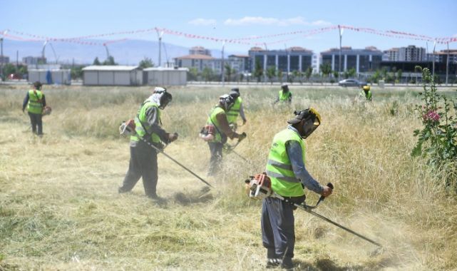 Yangın riskine karşı ot biçme seferberliği