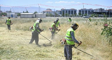 Yangın riskine karşı ot biçme seferberliği